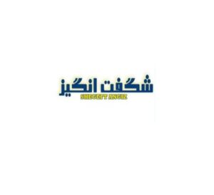 شگفت انگیز