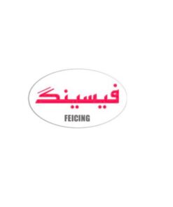 فیسینگ FEICING